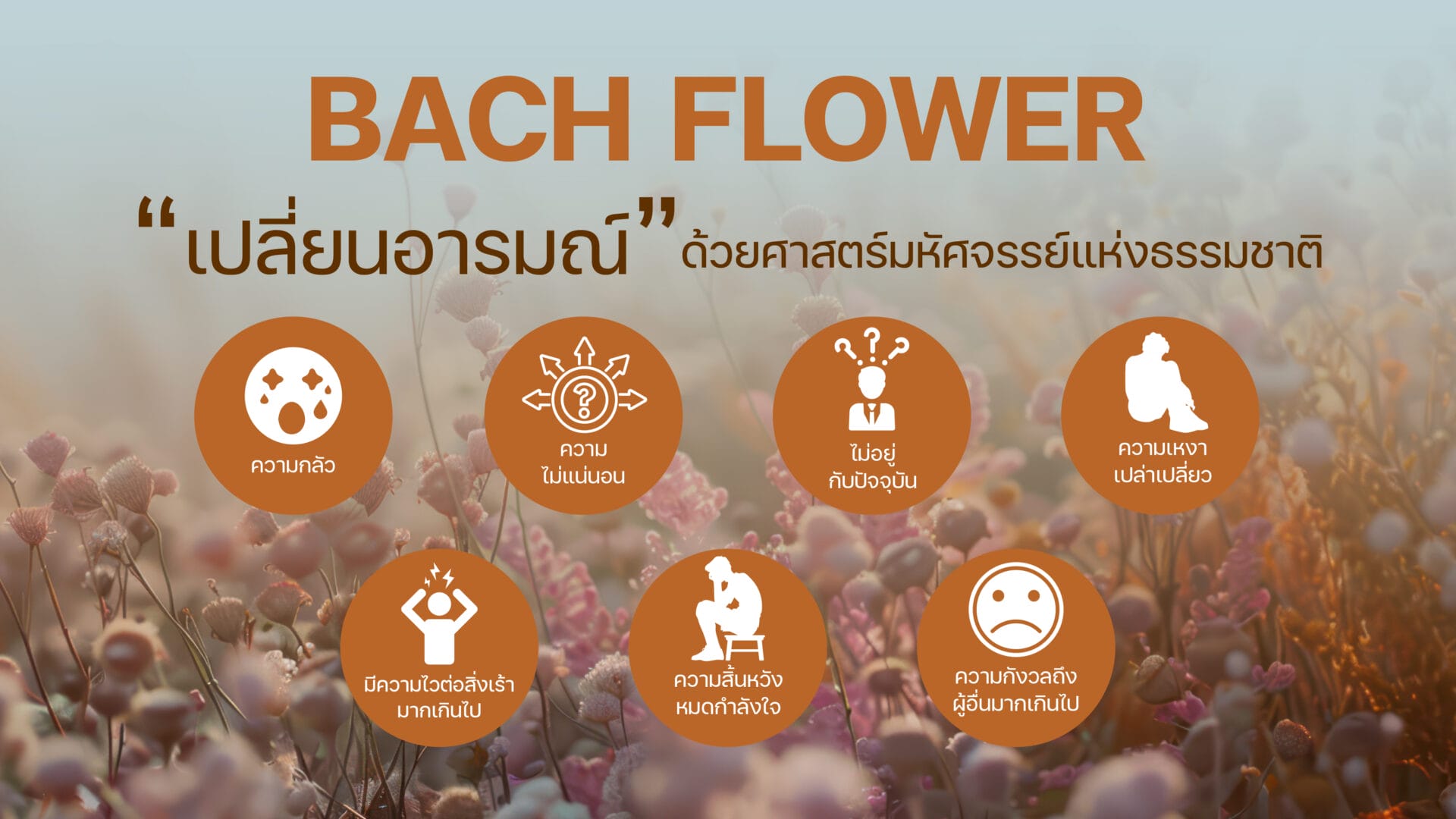 ดอกไม้บำบัด